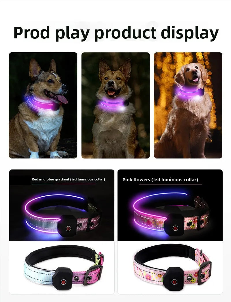 LED Hundhalsband – Håll Din Hund Synlig och Säker