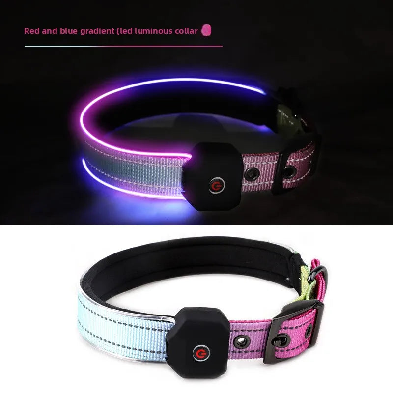LED Hundhalsband – Håll Din Hund Synlig och Säker