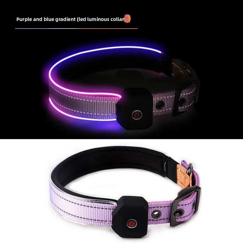 LED Hundhalsband – Håll Din Hund Synlig och Säker