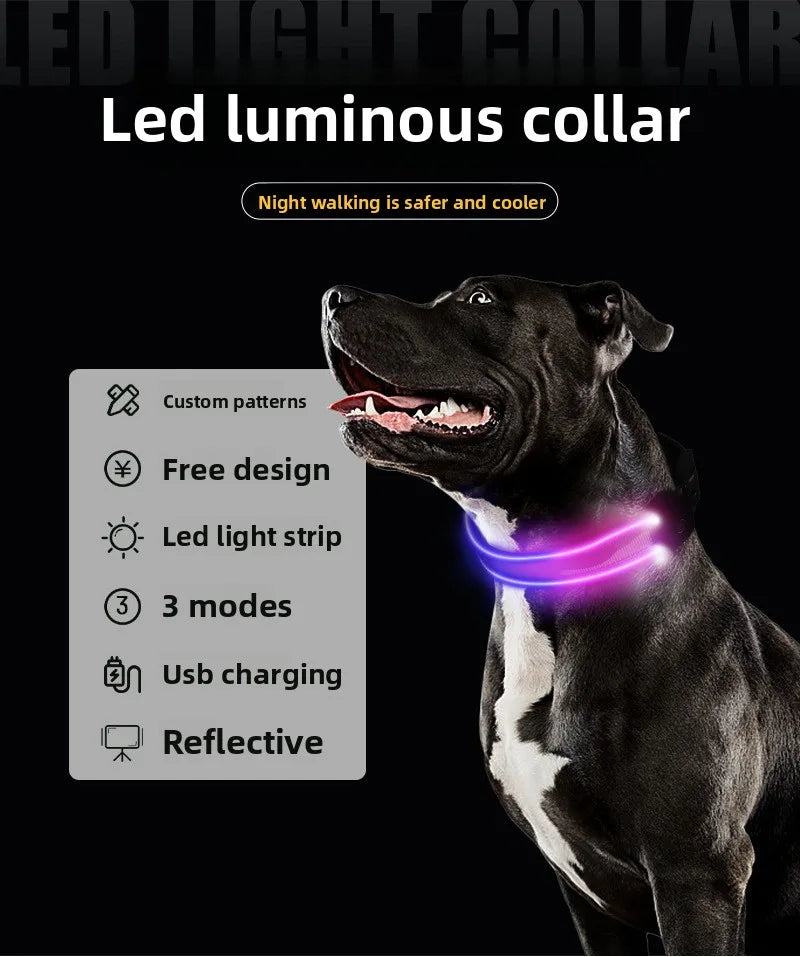 LED Hundhalsband – Håll Din Hund Synlig och Säker