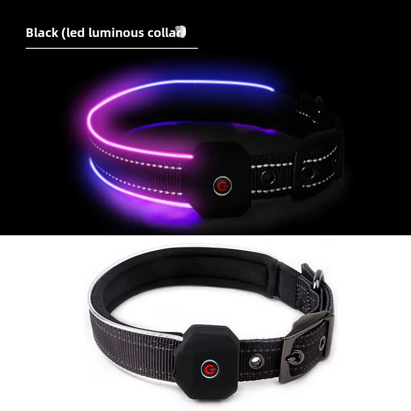 LED Hundhalsband – Håll Din Hund Synlig och Säker